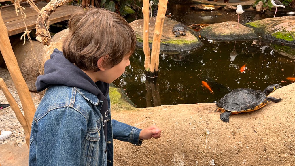 Stichting Lotje bezorgt kinderen die niet op vakantie gaan een leuke dag