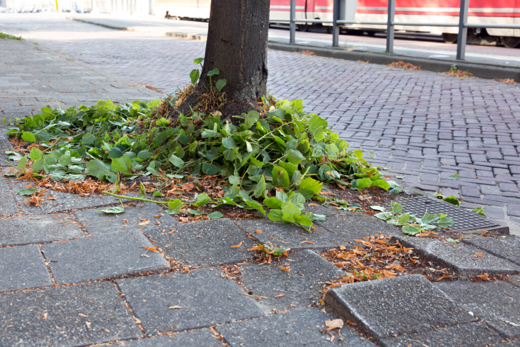 Den Haag richt blik naar de ondergrond