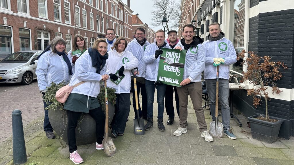 ‘Laten we tegel voor tegel Den Haag vergroenen’ 