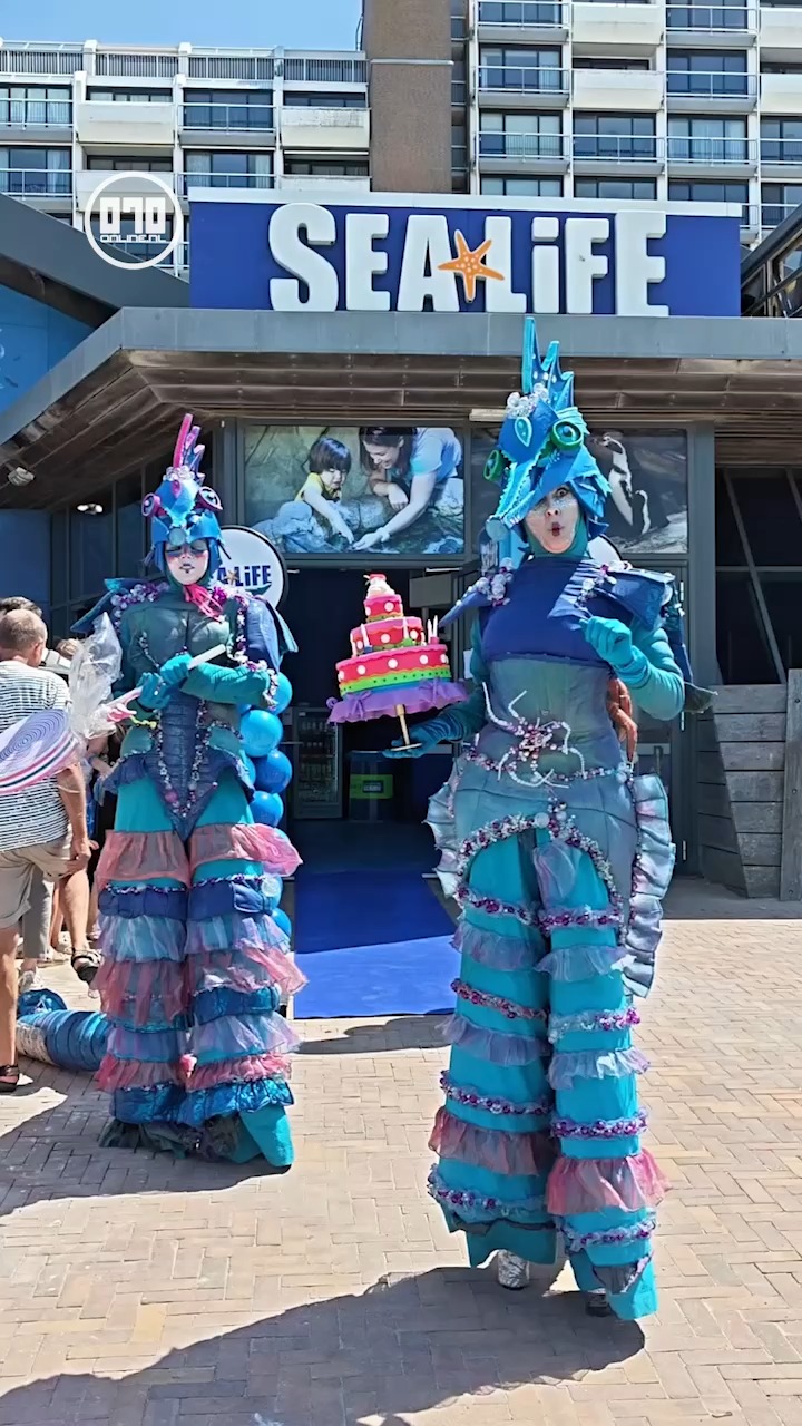 SEA LIFE Scheveningen heropent na grootschalige renovatie

https://070online.nl/2026/07/13/sea-life-scheveningen-heropent-na-grootschalige-renovatie/

#SEALIFEScheveningen #Scheveningen #DenHaag #Aquarium #Renovatie #JanvanZanen @sea_life_scheveningen @burgemeesterjanvanzanen