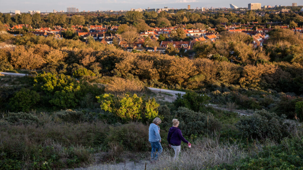 Onderzoek naar staalslakken in Haagse wandelpaden