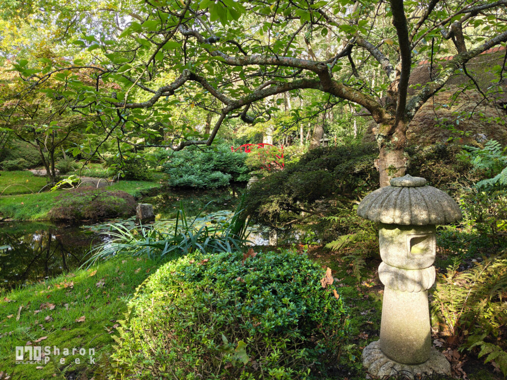Japanse Tuin Clingendael weer open